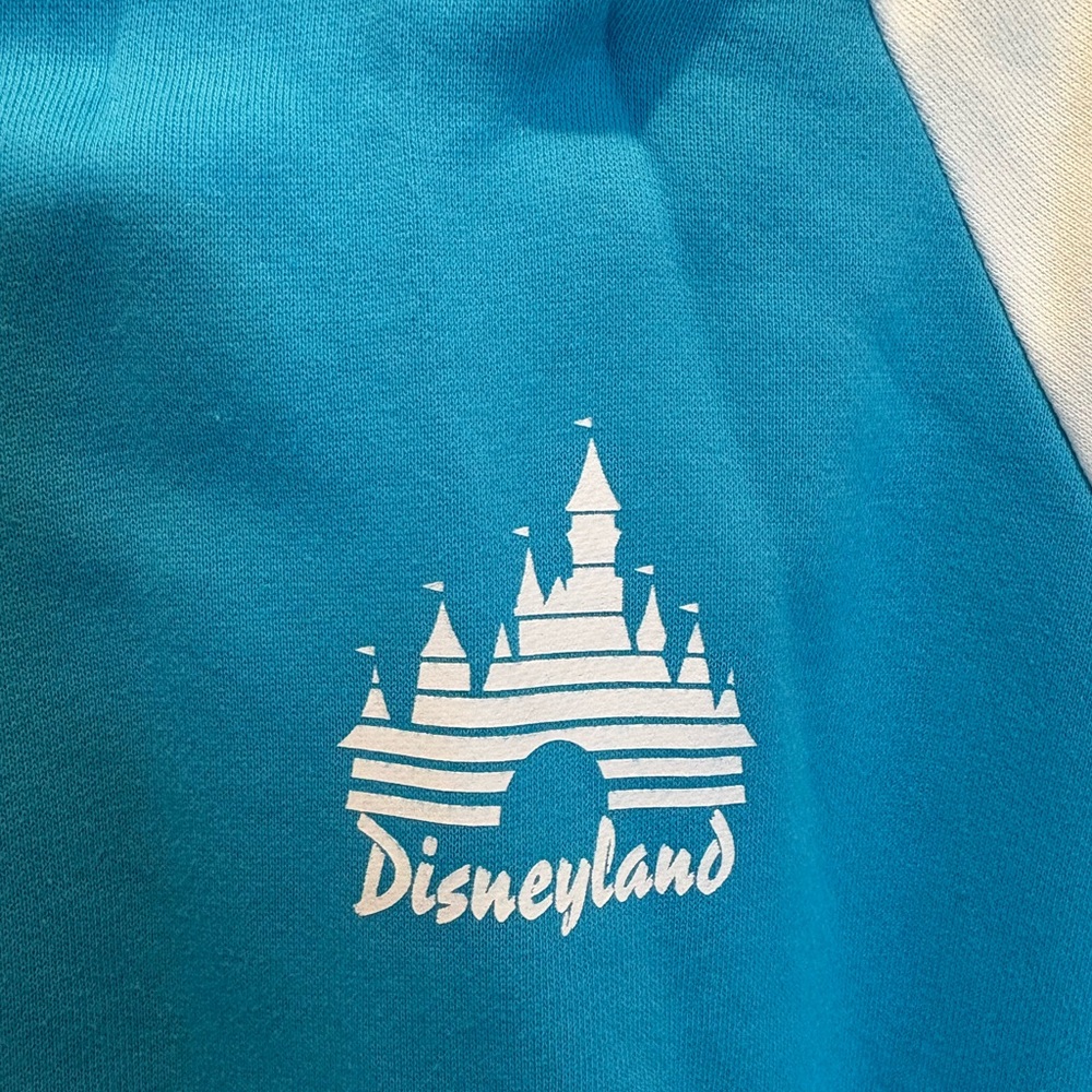 Disneyland Fab 5 Blue and White Zipper Hoodie Sweatshirt, L - Picture 4 of 15